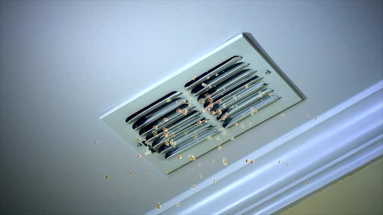 Air Duct Mold Removal in Aragon, GA